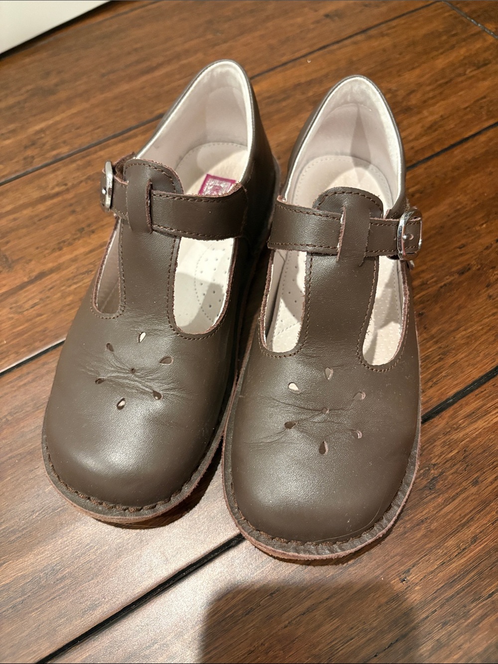 Lamour Brown T-Strap Mary Jane Shoes Youth4